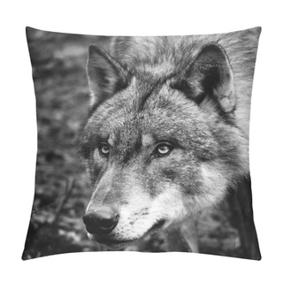 Personality  Black & White Wolf Portrait Pillow Covers