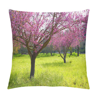 Personality  Image Of Spring Cherry Blossoms Tree. Retro Filtered Image, Selective Focus Pillow Covers