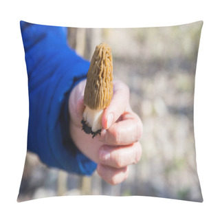 Personality  Morchella Mushroom In The Hand. Assortment Of Morel Mushrooms.  Pillow Covers