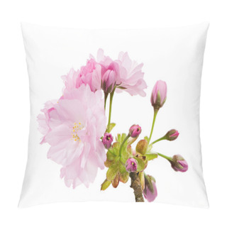 Personality  Isolated Twig With Pink Cherry Blossoms Pillow Covers