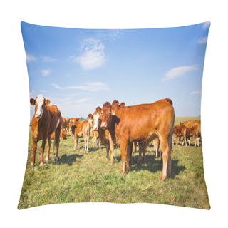 Personality  Cows Grazing On A Lovely Green Pasture Pillow Covers