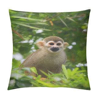 Personality  Squirrel Monkey Pillow Covers