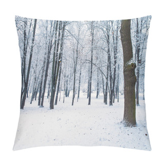 Personality  Forest Trees Nature Snow Wood Backgrounds Pillow Covers