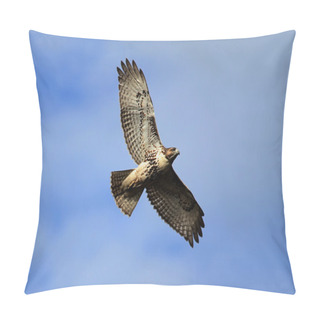 Personality  Red-tailed Hawk Pillow Covers