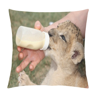 Personality  Lion Cub Drinking Bottle Pillow Covers
