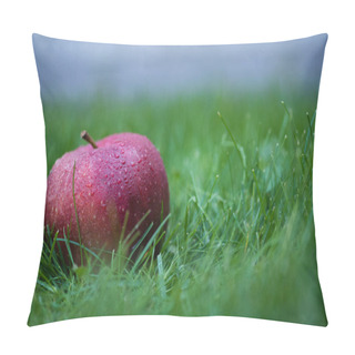 Personality  Fresh Picked Red Apple Pillow Covers