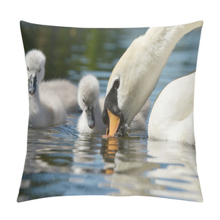 Personality  Mute Swan With Nestlings. Pillow Covers