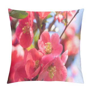 Personality  Red Flowers Of Blooming Sakura Tree In Spring Pillow Covers