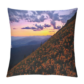 Personality  Columbia River Gorge From Above. Hills Covered With Wildflowers. Arnica Or Arrowleaf Balsamroot In Alpine Meadows. Spring In Oregon. Portland. Vancovuer. USA Pillow Covers