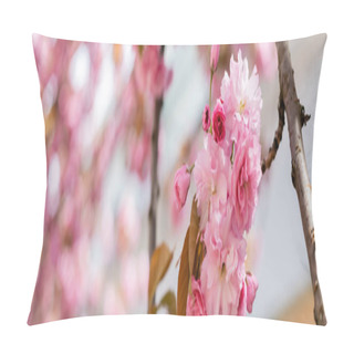 Personality Close Up Of Blooming Flowers On Twig Of Cherry Tree, Banner Pillow Covers