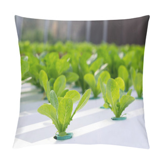 Personality  Hydroponic Vegetable In Farm Pillow Covers