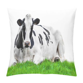 Personality  Cow On Meadow Isolated On White Pillow Covers