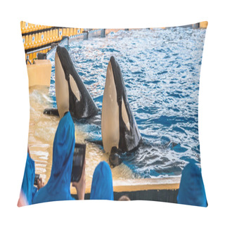 Personality  Killer Whales Greeting Pillow Covers