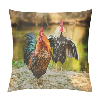 Personality  Two Roosters On The Bank Of The River Pillow Covers