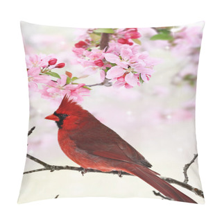 Personality  Cardinal Amid Spring Tree Blossoms Pillow Covers