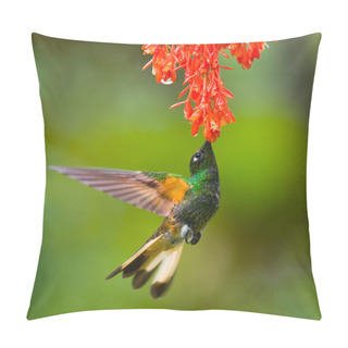 Personality  Hummingbird Collared Inca Pillow Covers