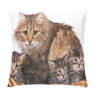 Personality  Siberian Kittens Pillow Covers