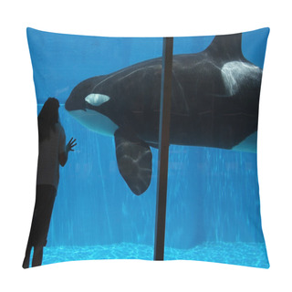 Personality  A Woman Watches An Orca Through Glass Pillow Covers