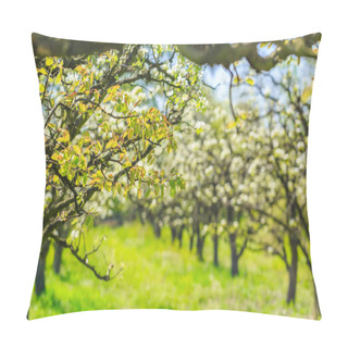 Personality  Apple Garden With Blossoming Trees Pillow Covers