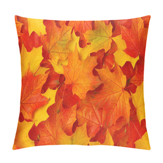 Personality  Fall Leaves Pillow Covers