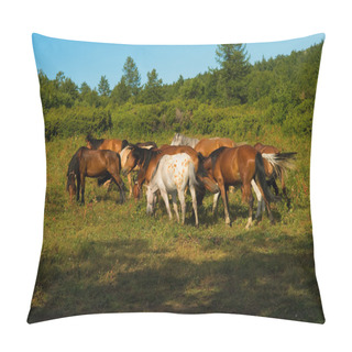Personality  Horse Herd Gazing Pillow Covers
