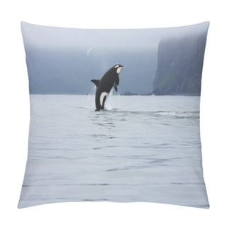 Personality  Orca Jumping In The Wild Pillow Covers