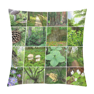 Personality  Collage - In The Forest Pillow Covers
