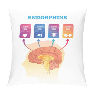 Personality  Endorphins Vector Illustration. Isolated Hormones Scheme With Human Brain. Pillow Covers