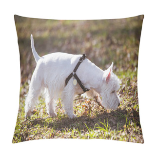 Personality  Dog And Tick Vaccination. White Terrier In Forest Pillow Covers