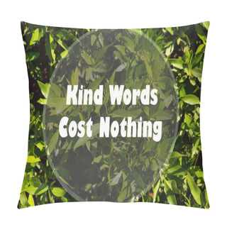 Personality  Kind Words Cost Nothing. Quote. Best Inspirational And Motivational Quotes And Sayings About Life, Wisdom, Positive, Uplifting Success, Motivation Pillow Covers