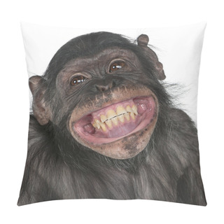 Personality  Mixed-Breed Monkey Between Chimpanzee And Bonobo Pillow Covers