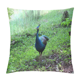 Personality  Thailand Peacock Pillow Covers