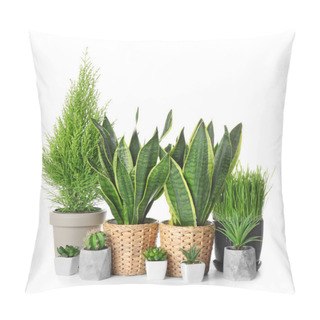 Personality  Different Houseplants On White Background Pillow Covers