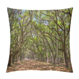 Personality  Canopy Of Old Live Oak Trees Draped In Spanish Moss. Pillow Covers