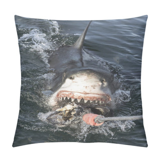Personality  Great White Shark With Open Mouth On The Surface Out Of The Water. Scientific Name: Carcharodon Carcharias. South Africa, Pillow Covers