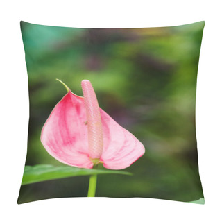 Personality  Pink Arum Lily Pillow Covers