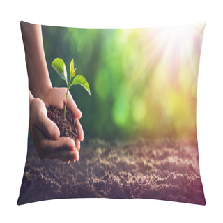 Personality  Hands Planting The Seedlings Into The Ground Pillow Covers