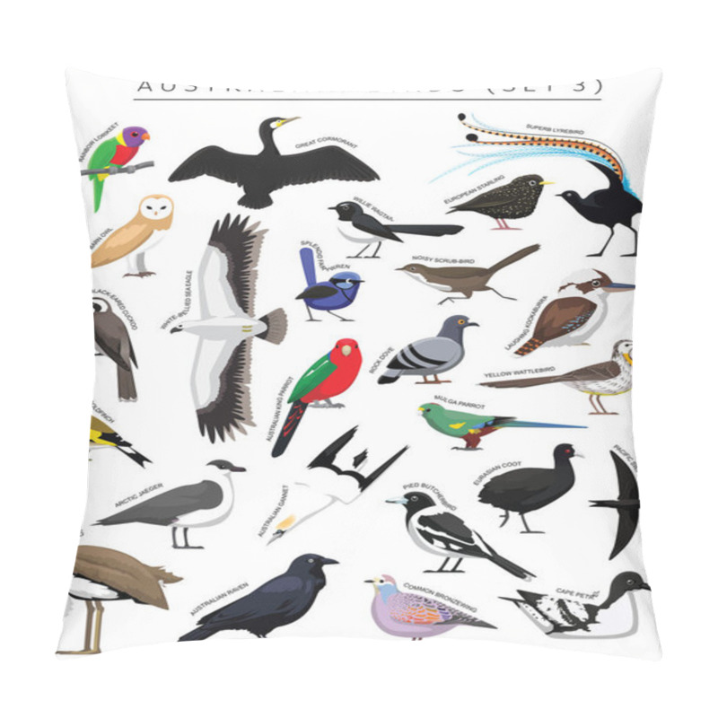 Personality  Australian Birds Set Cartoon Vector Character 3 Pillow Covers