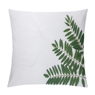 Personality  White Background With Green Leaves Of Acacia Pillow Covers
