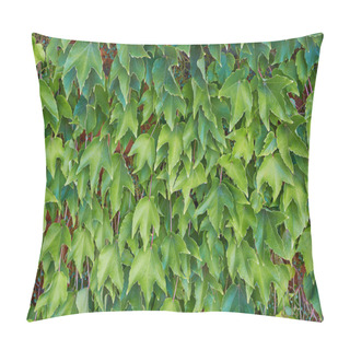 Personality  Leaves Vineyard Green  Background Pillow Covers