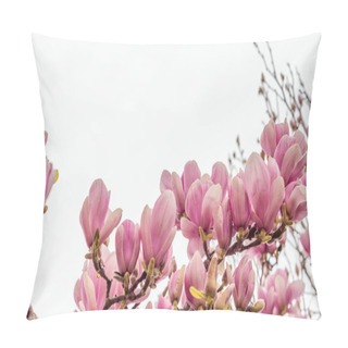 Personality  Magnolia Flowers In Spring Season Pillow Covers