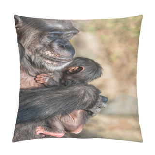 Personality  Portrait Of Mother Chimpanzee With Her Funny Small Baby, Extreme Closeup Pillow Covers