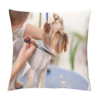 Personality  Yorkshire Terrier In The Process Of Grooming. Pillow Covers