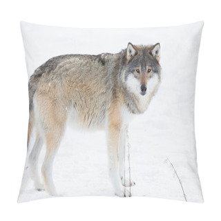 Personality  Wolf Standing In The Snow Pillow Covers