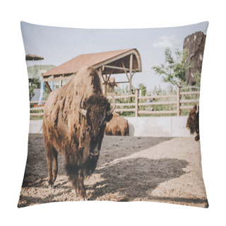 Personality  Close Up View Of Bisons Grazing In Corral At Zoo  Pillow Covers