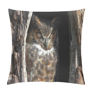 Personality  Great Horned Owl (Bubo Virginianus) Pillow Covers