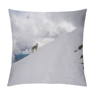 Personality  Dog In Snowy Mountains Pillow Covers