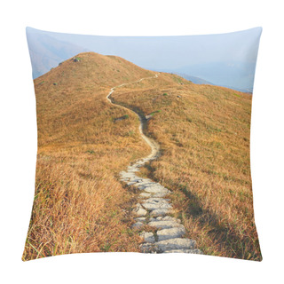 Personality  Mountain Path Pillow Covers