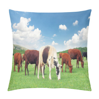 Personality Cows On Farm Composition  Pillow Covers