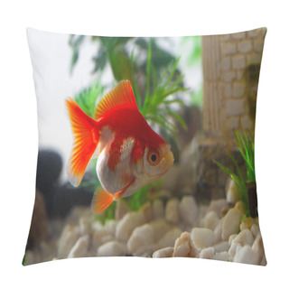 Personality  Goldfish Sucks A Rocks In The Aquarium Pillow Covers